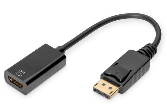 Display Port to HDMI Converter